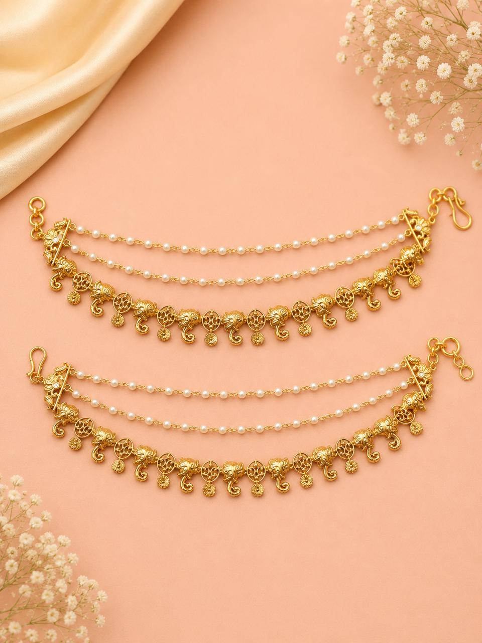 Ear chain