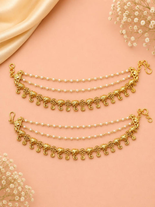 Ear chain