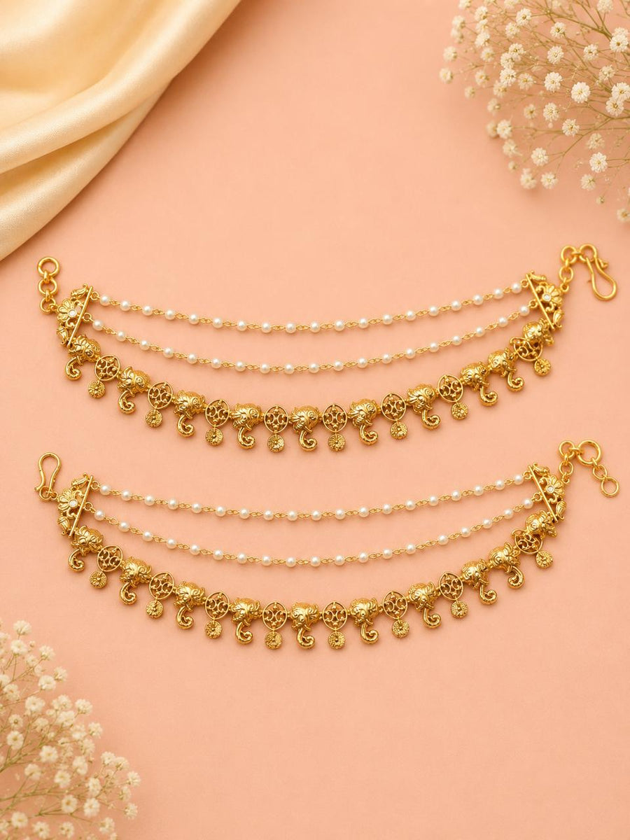 Ear chain